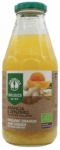 Succo Arancia e Zenzero 500 ml