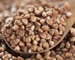 Grano Saraceno Bio