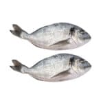 Orata Eviscerata circa 1Kg