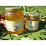 Miele di Acacia Bio Scoiattolo Rosso 500 g