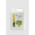 Detersivo Piatti Limone Aperegina 5L