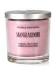 Candela Mangiaodori 150ml