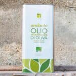 Olio EVO Bio Andante Terradiva 5L