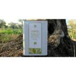 Olio Evo Andante Bio Terradiva 3L