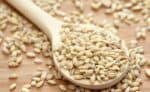 Orzo Perlato Bio