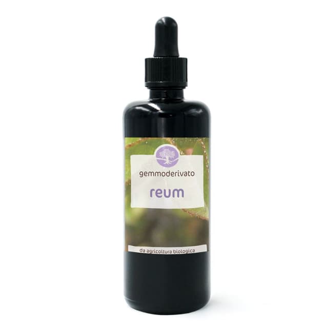 Gemmoderivato Drena 50 ml