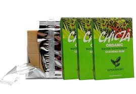 Chewing Gum Menta Bio 30g