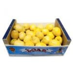 Cassa Limoni Femminello Bio 10Kg
