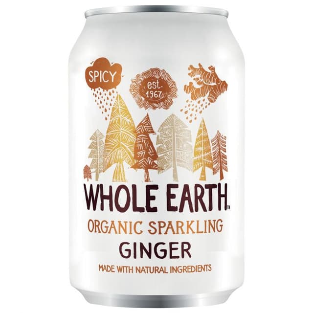 Bio Ginger 300 ml